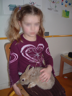 le lapin de PURDEY
